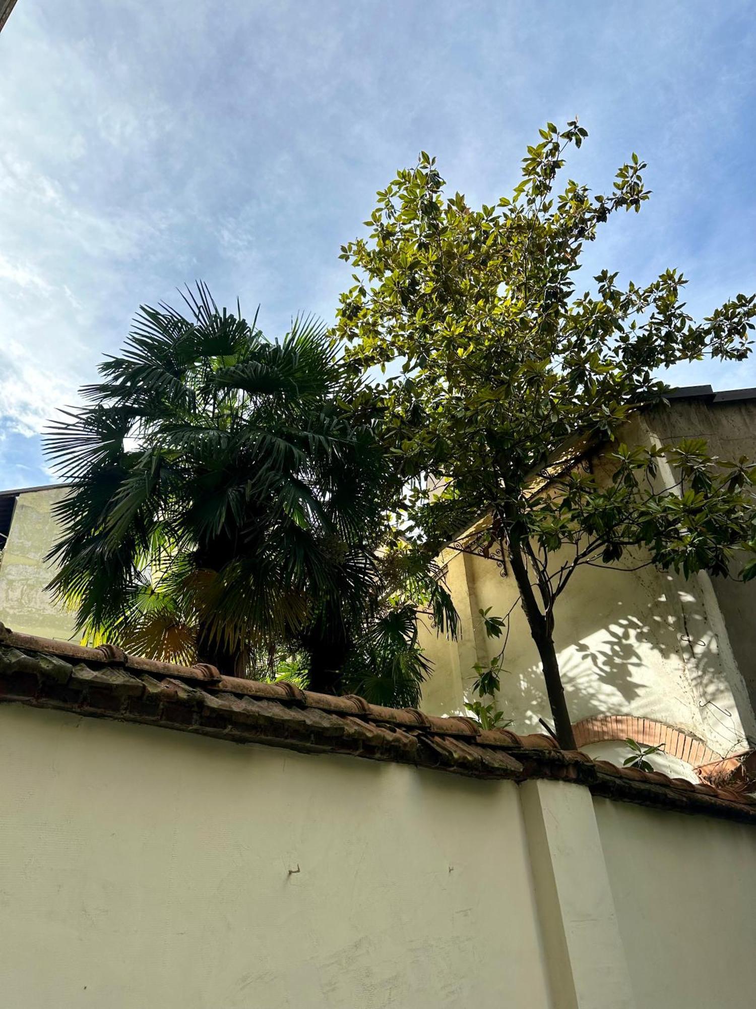 Lr Deluxe Apartments - Porta Venezia - Bilocale Con Giardino Privato Милан Экстерьер фото